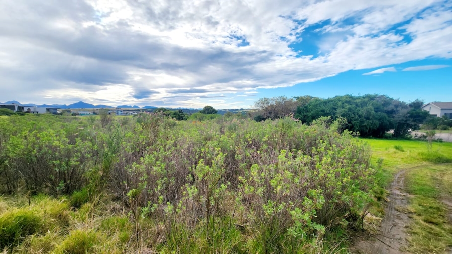 0 Bedroom Property for Sale in Oubaai Western Cape